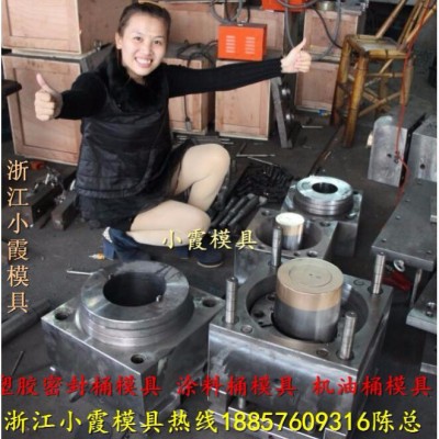 中国订做HDPE食品桶模具
