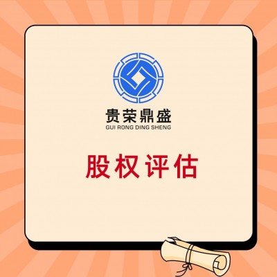 广东省汕头市股权转让评估公司价值