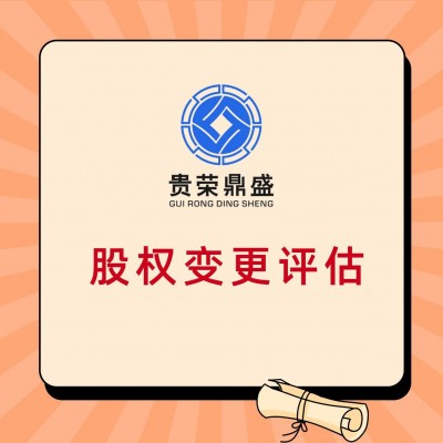 广东省肇庆市股权转让评估企业净资
