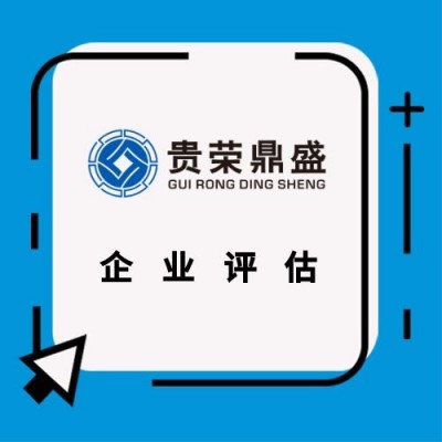 广东省中山市字号评估企业家价值评