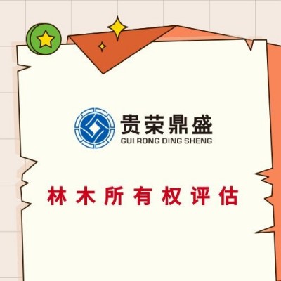 深圳市长期合同评估侵权损害评估林